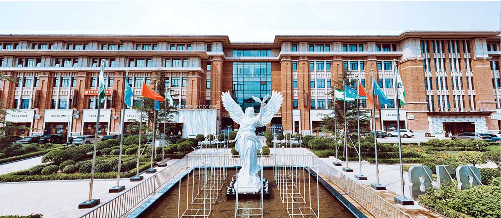丽滋卡尔集团全国布局与高端医疗设施